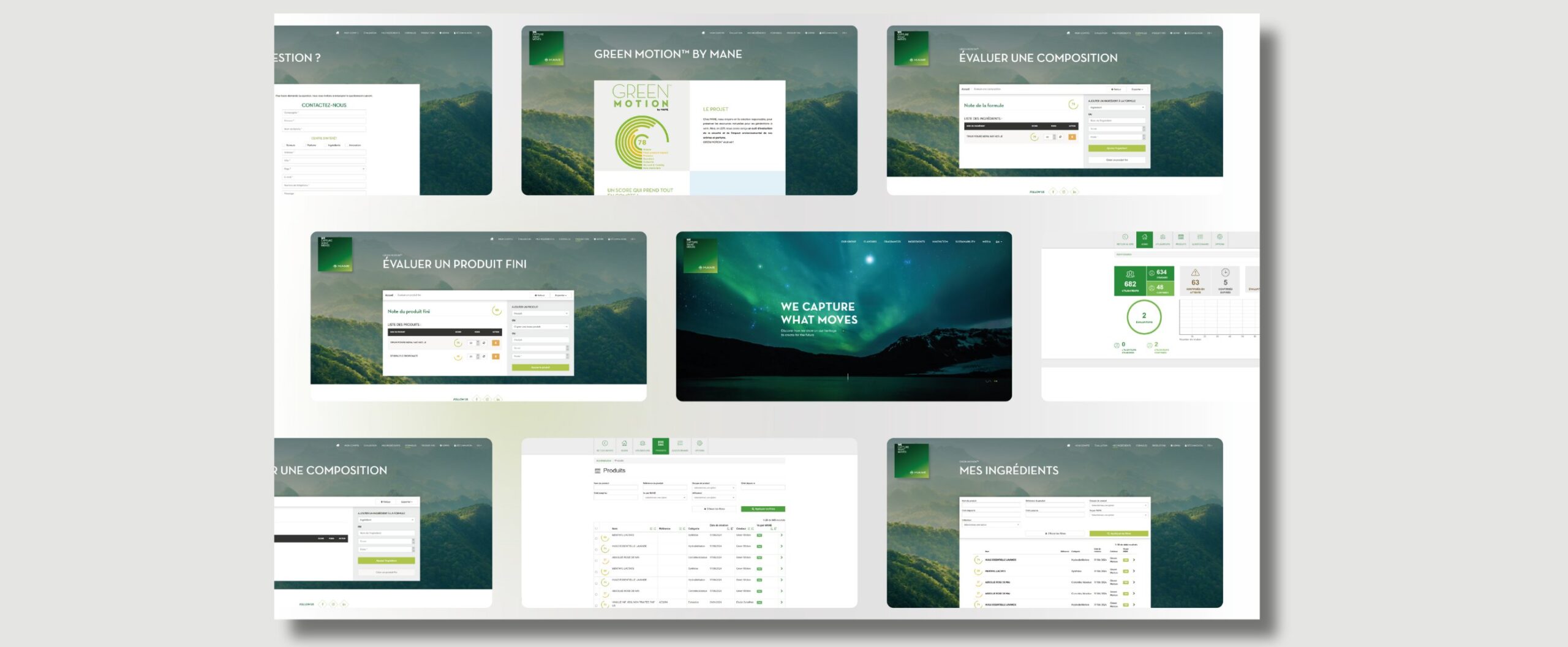 Illustration 1 - MANE 1