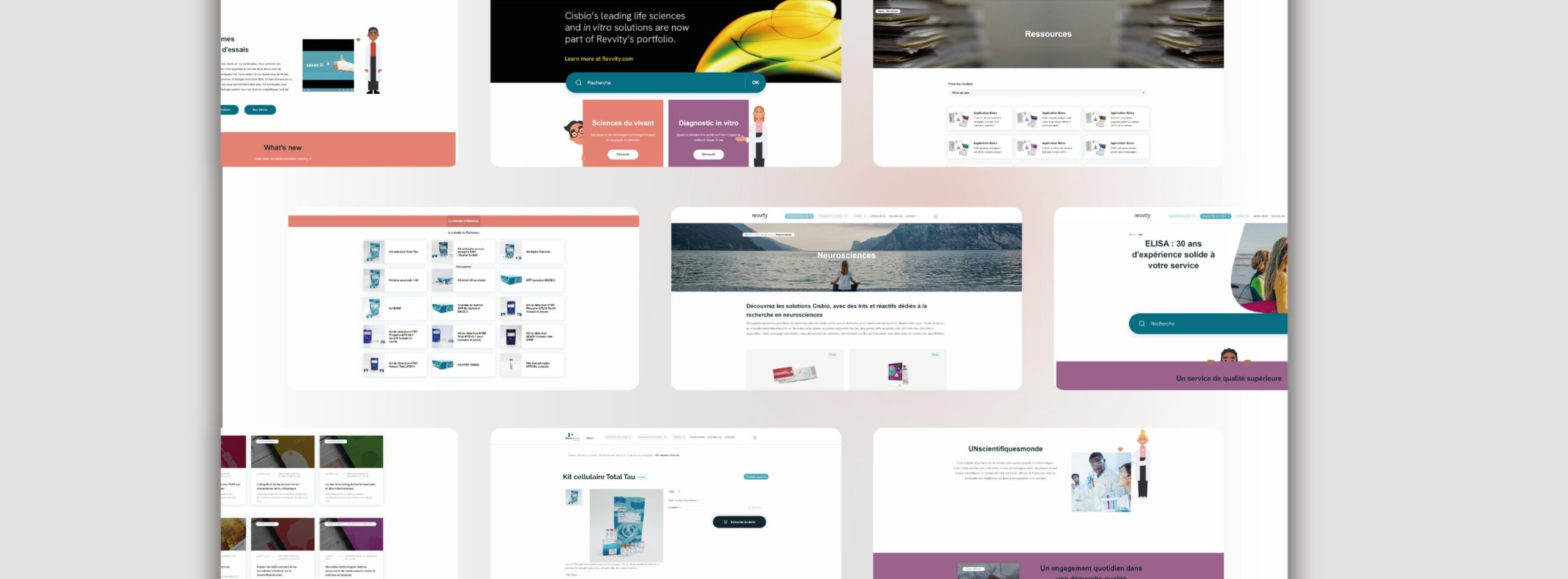 Illustration 2 - cisbio